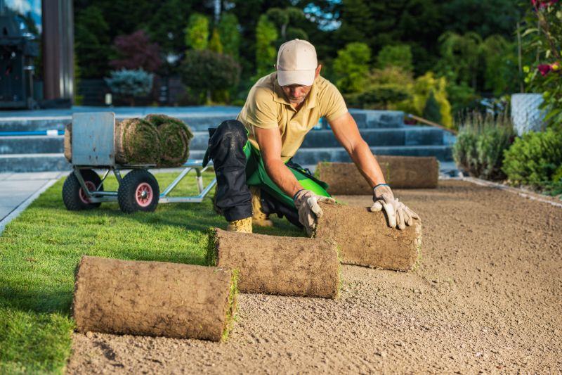 Lawn Rolling Service Promotions
