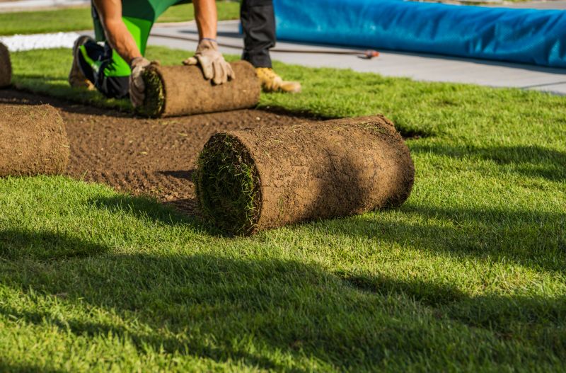 Lawn Rolling Service