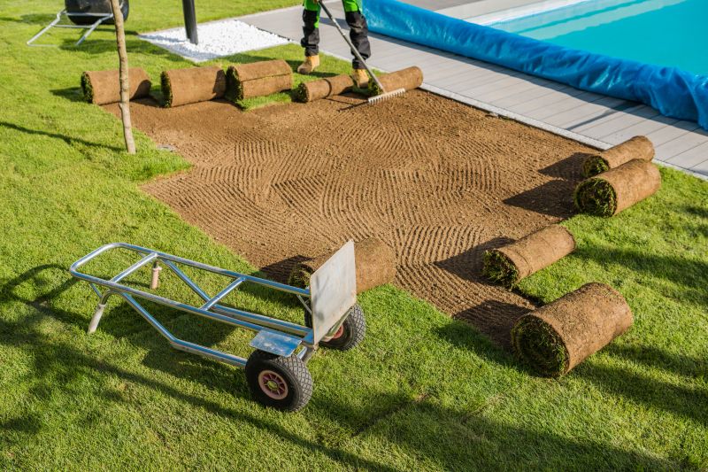 Lawn Rolling Service