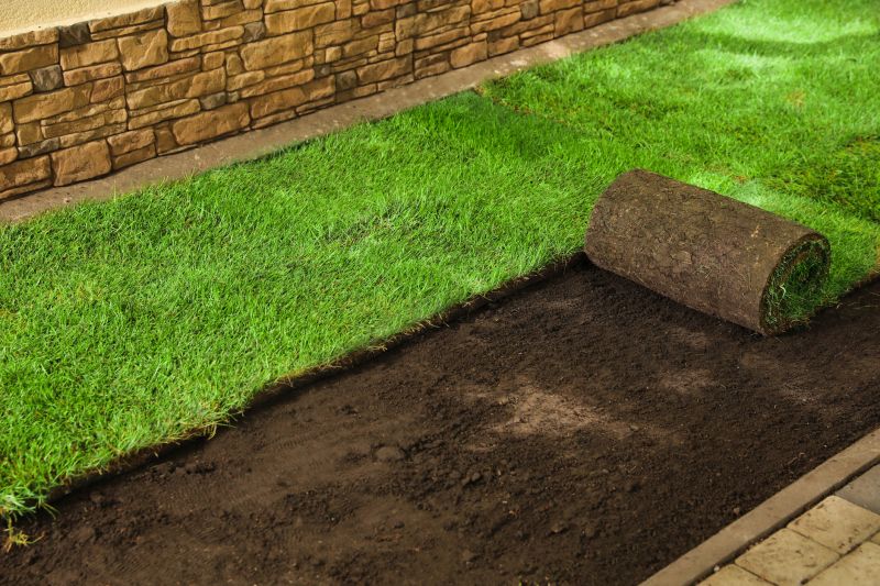 Lawn Rolling Service