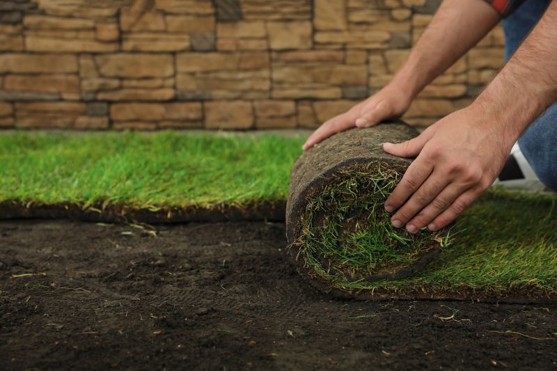 Lawn Rolling Service Cost — Cost of Lawn Rolling Service