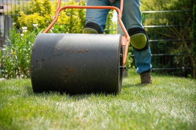 Get the Right Weight and Pressure to Roll the Lawn!